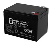 12V 12AH Battery Replaces Kid Trax Police Car KT1081WM + 12V Charger