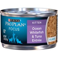(24 Pack) Purina Pro Plan Focus Kitten Wet Cat Food, 3 oz. Pull Top Cans