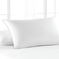 Beautyrest 300TC Cotton Allergen Pillow Set of 2 in Multiple Sizes