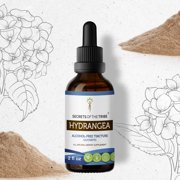 Hydrangea Tincture Alcohol-FREE Extract, Organic Hydrangea (Hydrangea arborescens) Dried Root 2 oz