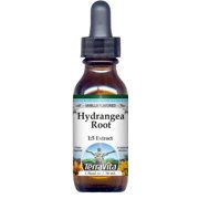 Hydrangea Root Glycerite Liquid Extract (1:5) - Vanilla Flavored (1 oz, Zin: 522604)