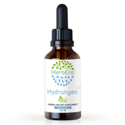 Hydrangea Alcohol Herbal Extract Tincture, Super-Concentrated Organic Hydrangea (Hydrangea arborescens) Dried Root 2 oz