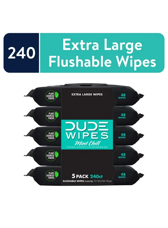 DUDE Wipes Flushable Wipes, XL Wet Wipes for at Home Use, Mint Chill, 48 Count, 5 Pack